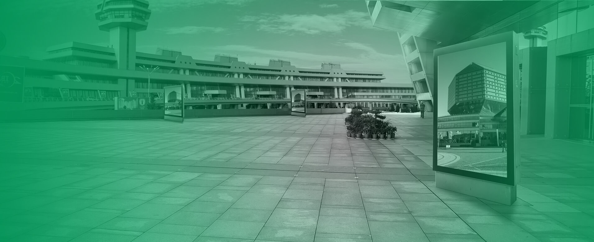 bg-main